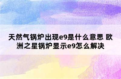 天然气锅炉出现e9是什么意思 欧洲之星锅炉显示e9怎么解决